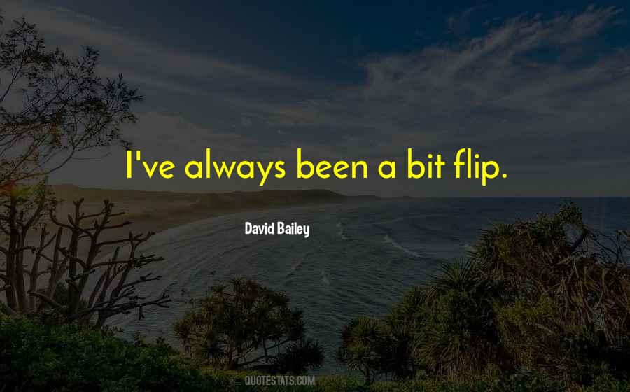 Quotes About David Bailey #1473643