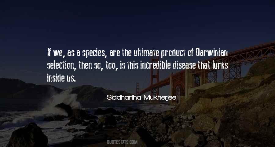 Siddhartha's Quotes #26314