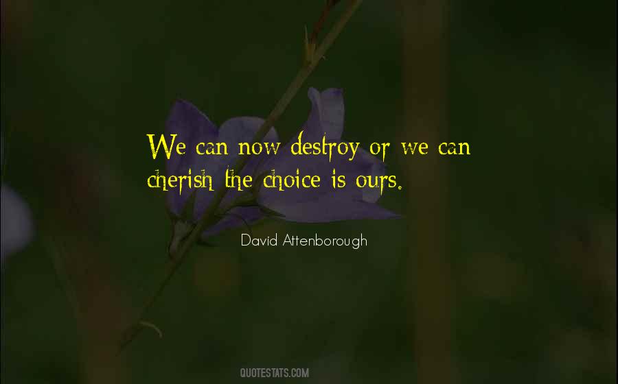 Quotes About David Attenborough #264206