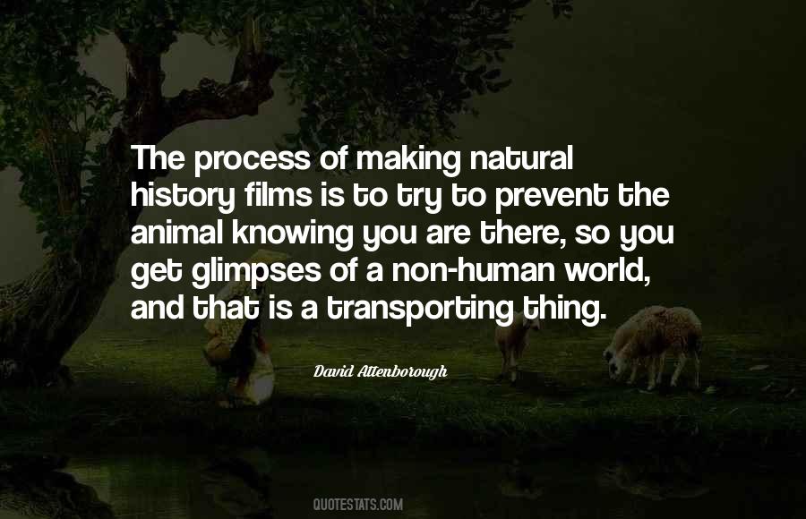Quotes About David Attenborough #80033
