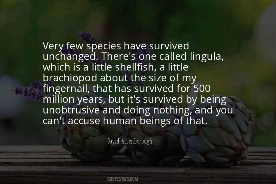 Quotes About David Attenborough #845505