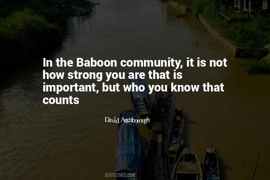Quotes About David Attenborough #852643