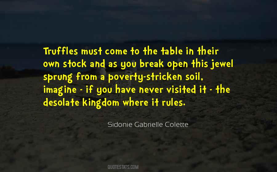 Sidonie Gabrielle Quotes #1831752