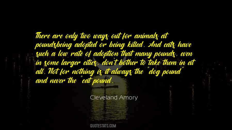 Quotes About Amory #1163413