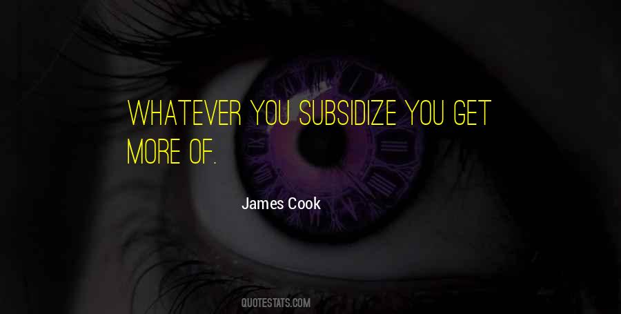 Quotes About Subsidize #317846