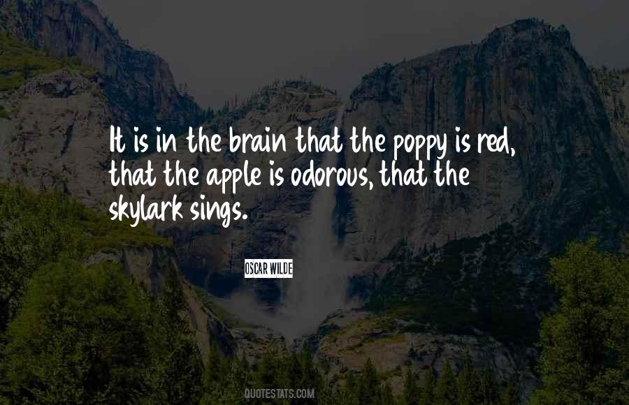 Quotes About Poppy #176563