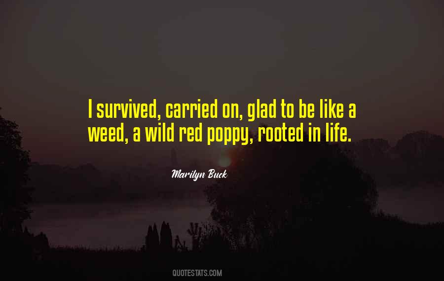 Quotes About Poppy #563318