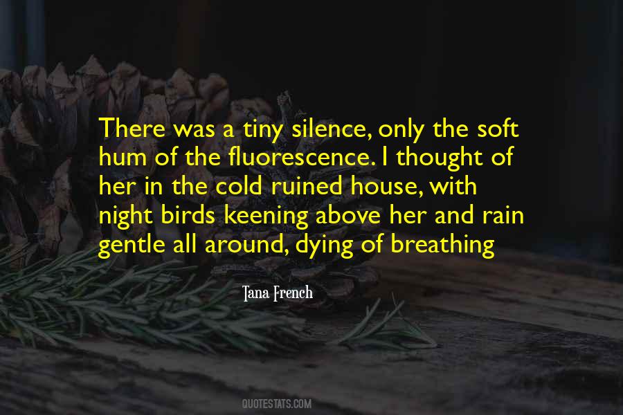 Silence In The Night Quotes #879388