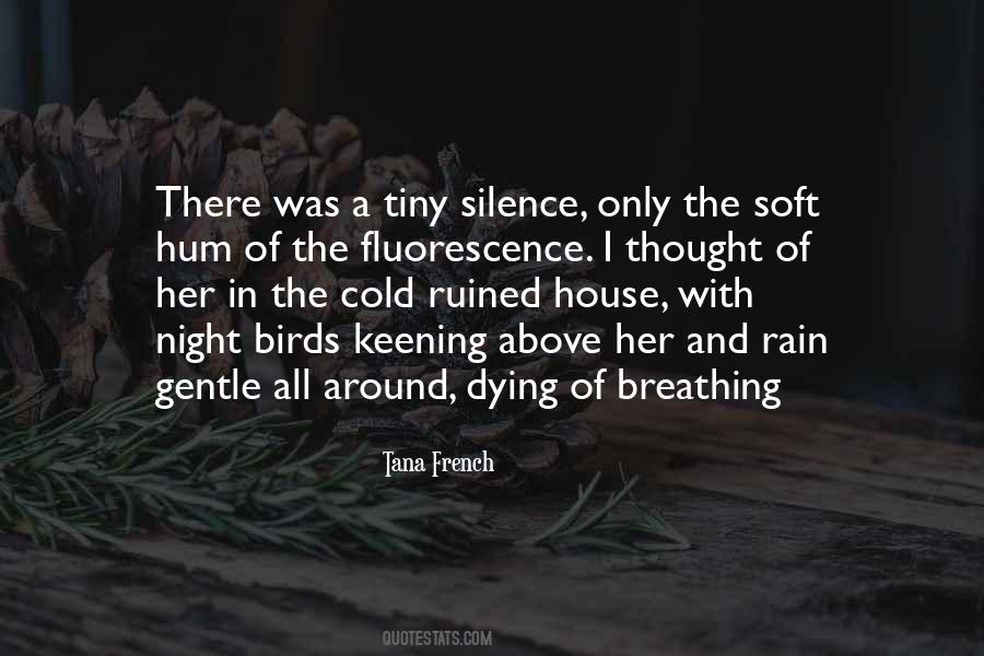 Silence Of The Night Quotes #879388