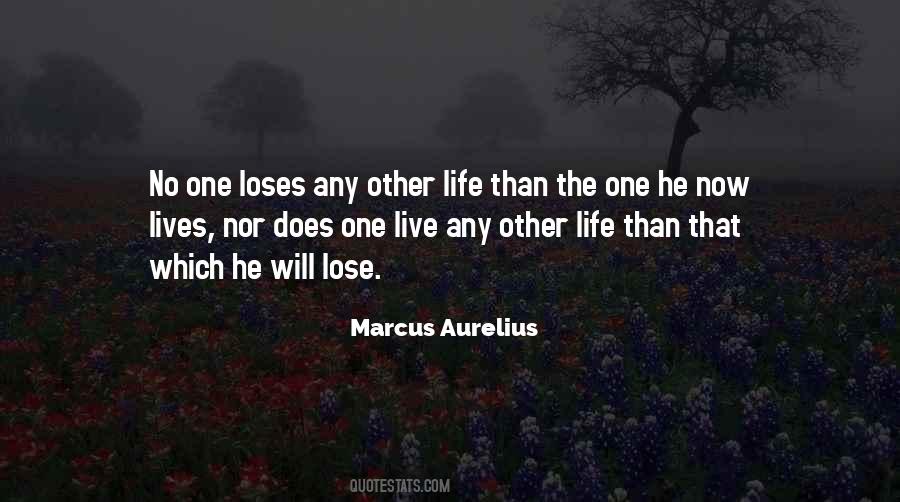 Silverwing Book Quotes #169089