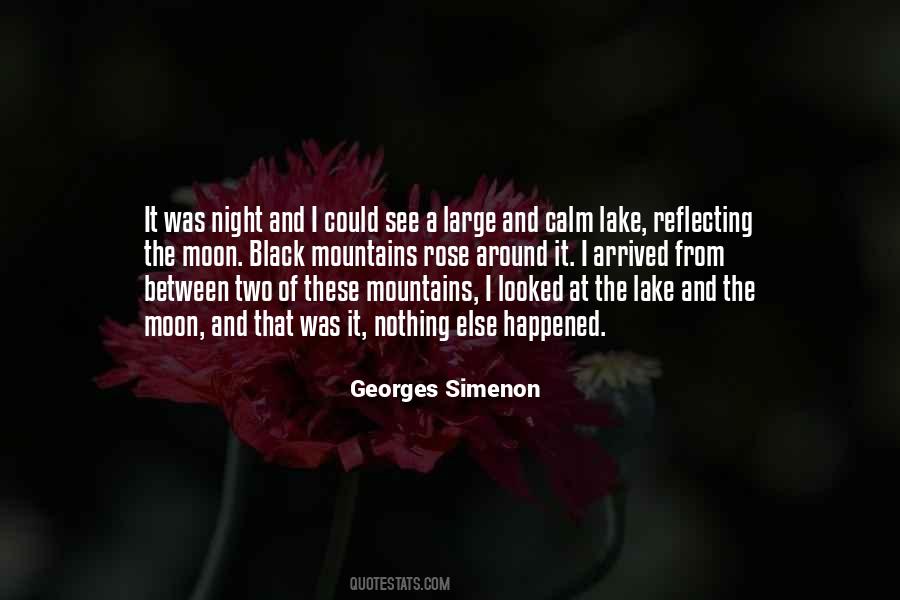 Simenon Quotes #66975