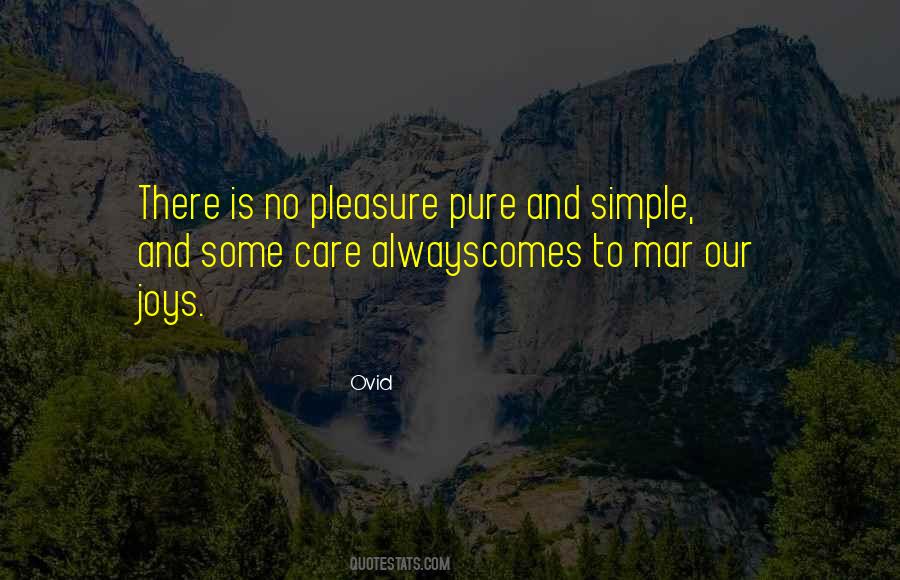 Simple Pleasure Quotes #415361