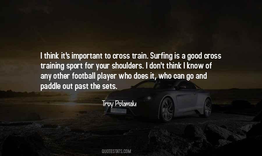 Quotes About Troy Polamalu #1311865