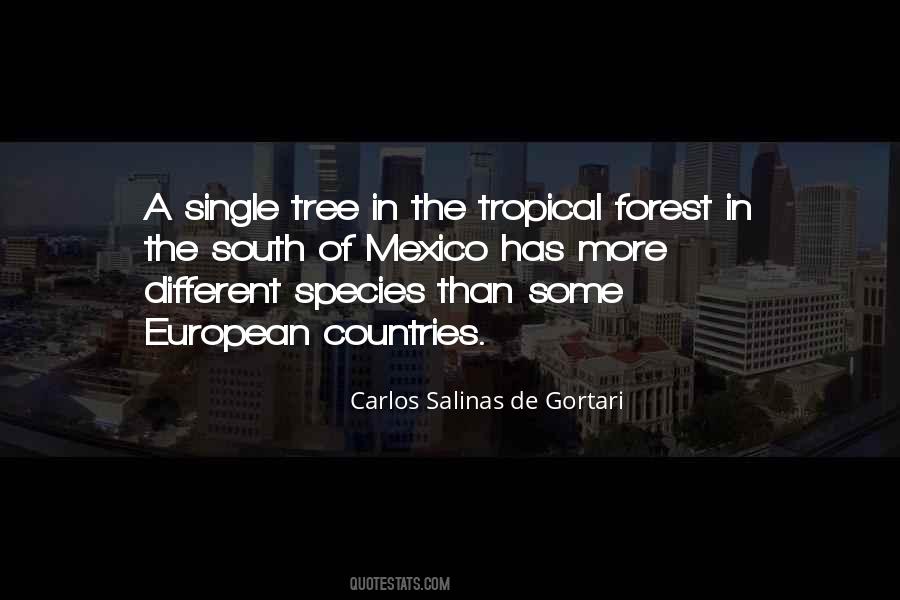 Single Tree Quotes #1744475