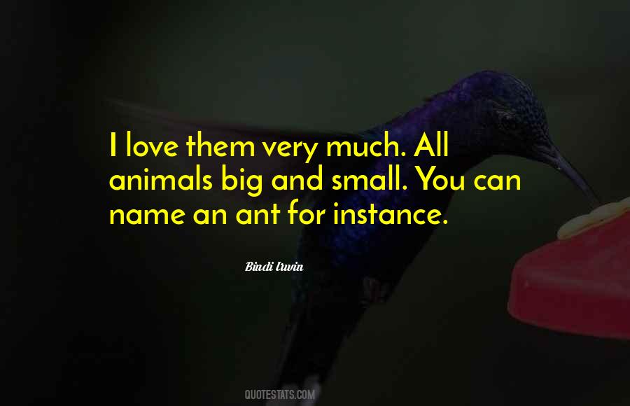 Quotes About Animals Love #178819