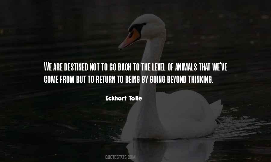 Quotes About Animals Thinking #1335623