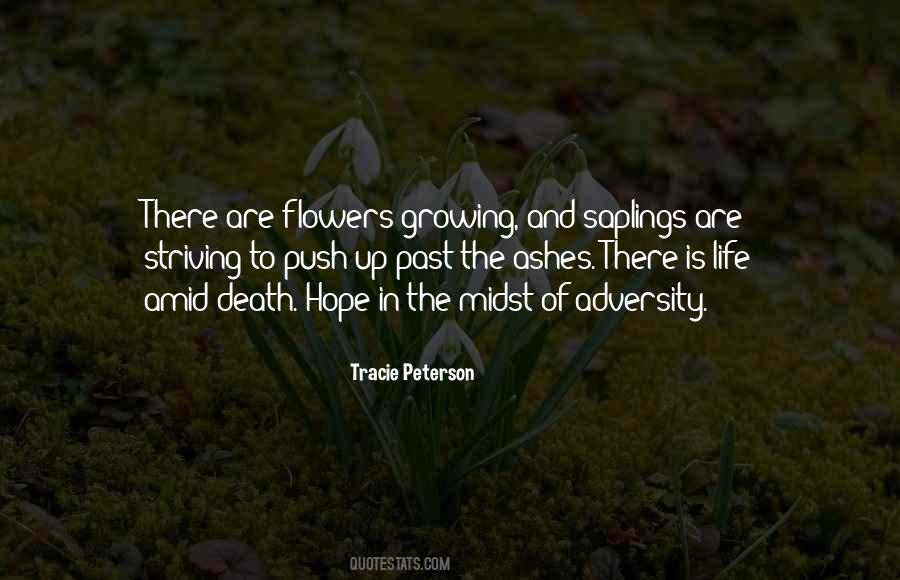 Quotes About Adversity In Life #895392