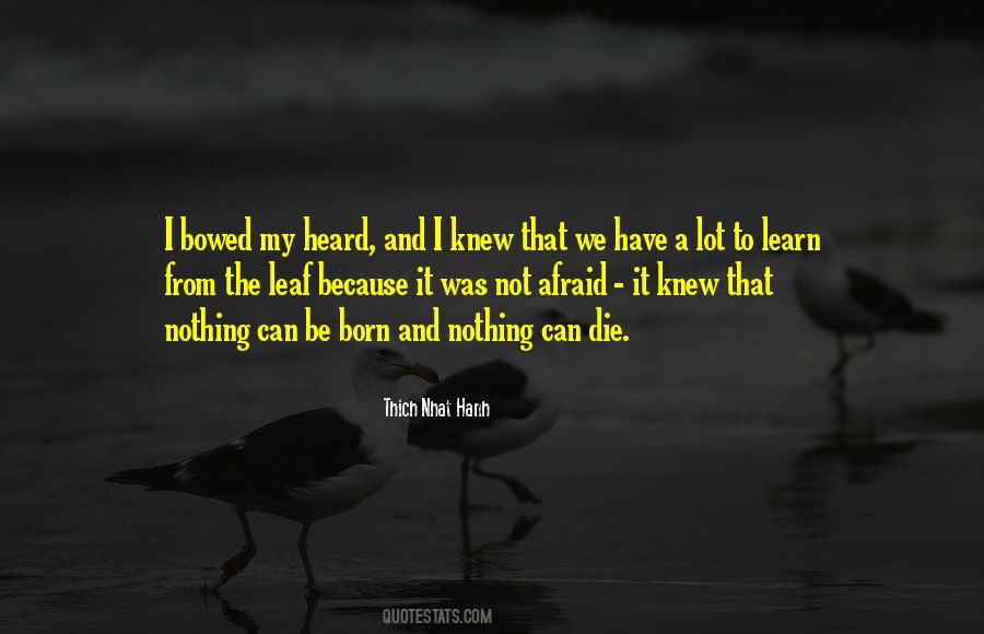 Quotes About Thich Nhat Hanh #13077