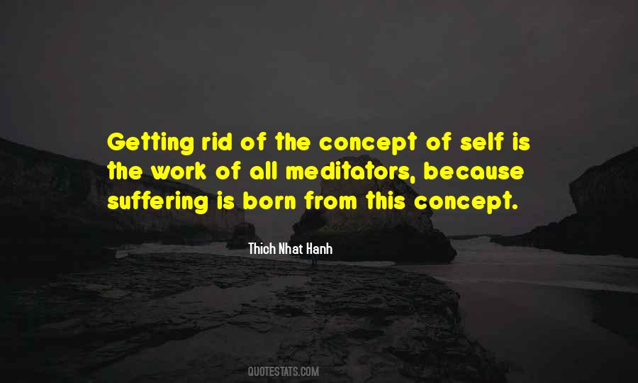 Quotes About Thich Nhat Hanh #73229