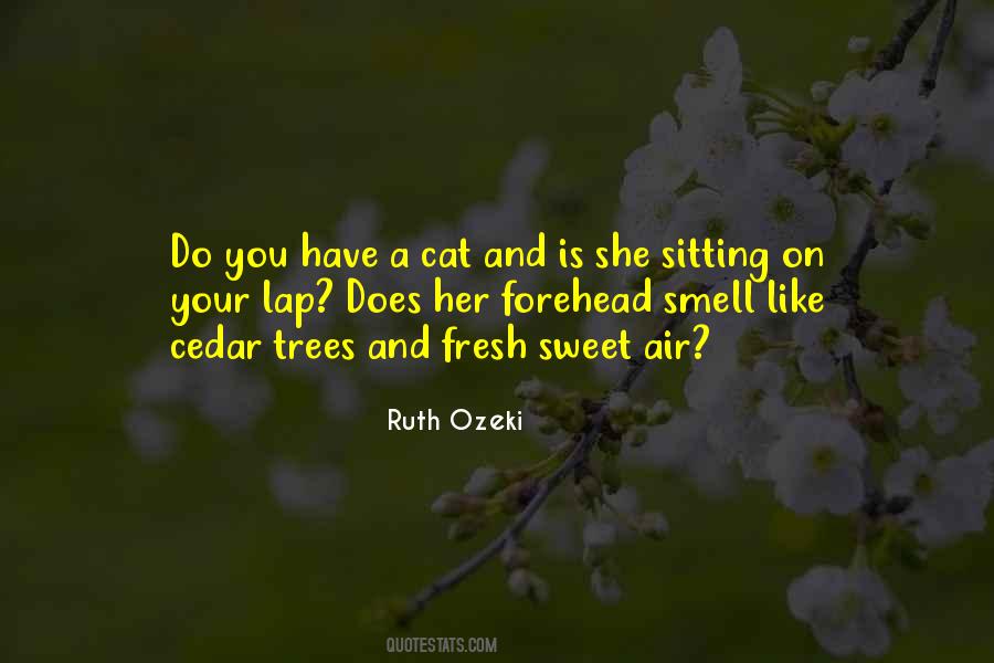 Sitting On Your Lap Quotes #964850