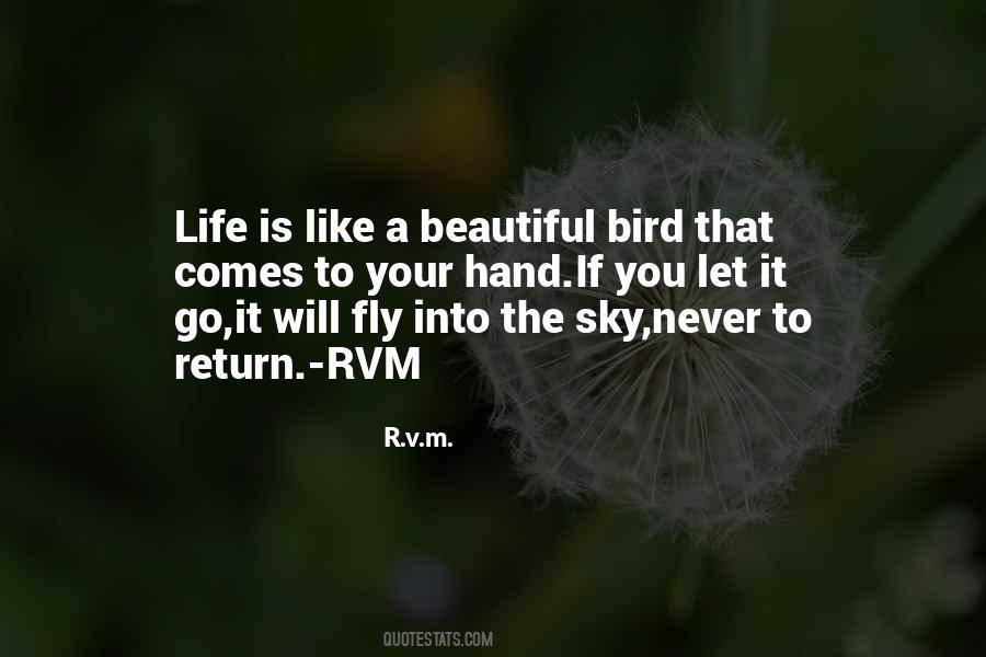 Sky Bird Quotes #1666677