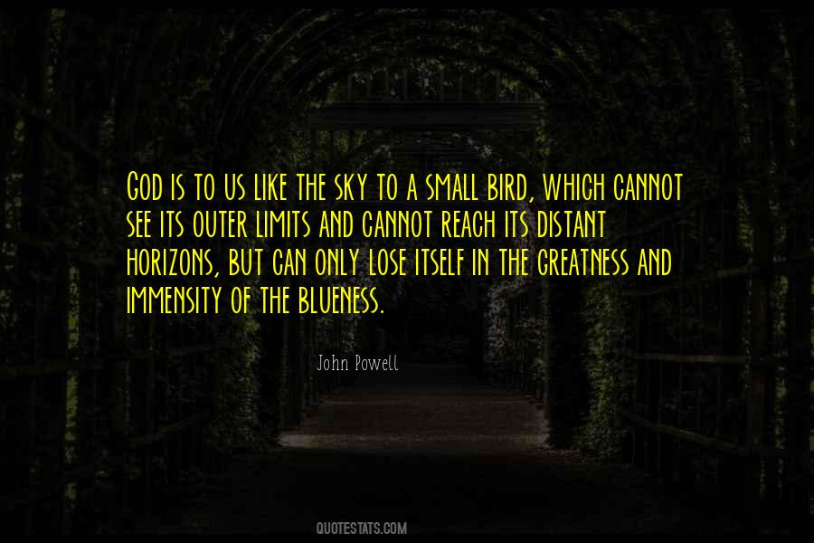 Sky Bird Quotes #329870