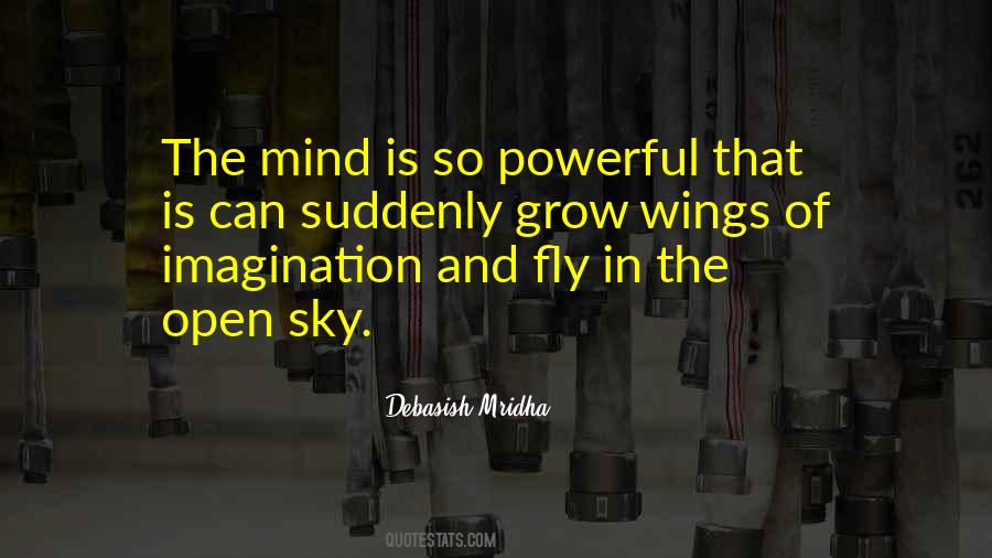 Sky Fly Quotes #909654