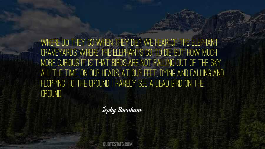 Sky Is Falling Quotes #1583095
