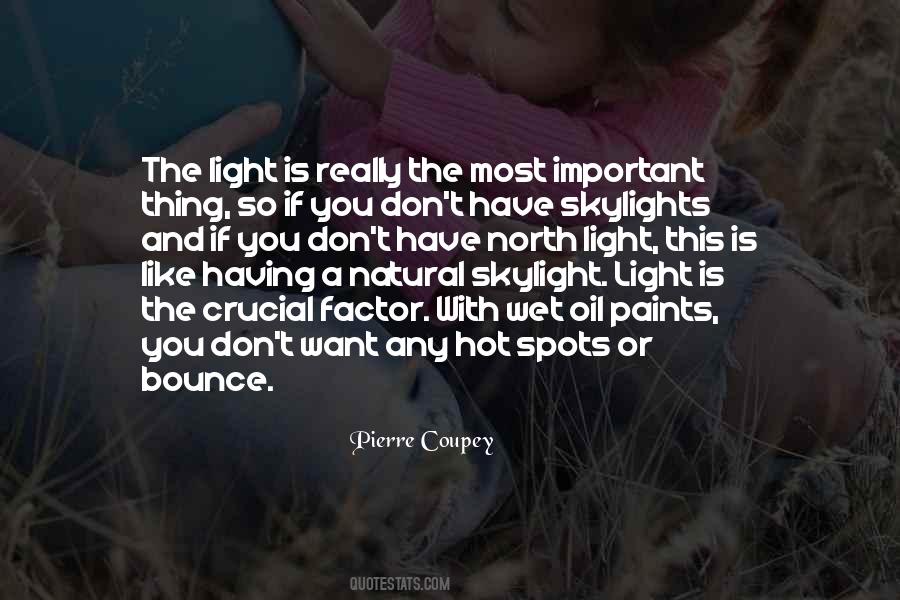 Skylight Quotes #1817185