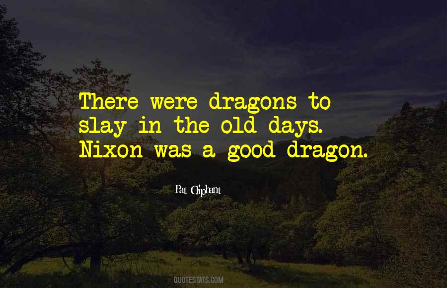 Slay The Dragon Quotes #1741408