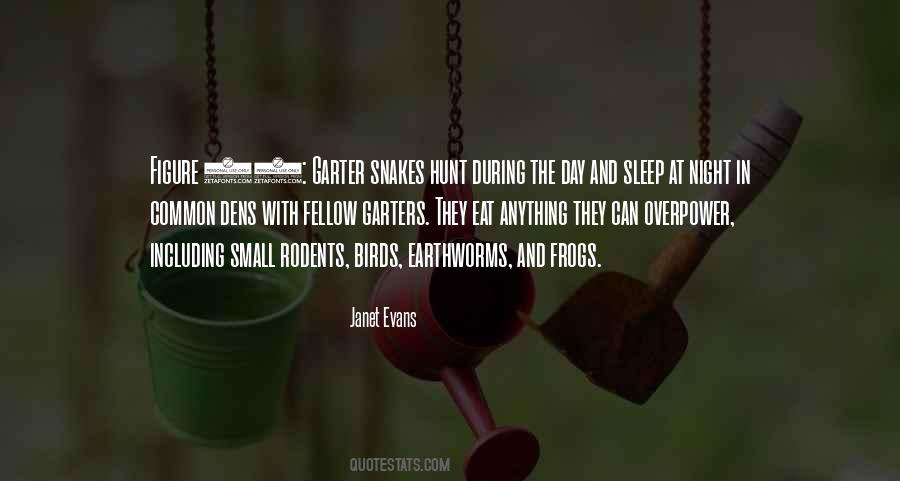 Sleep And Eat Quotes #627028