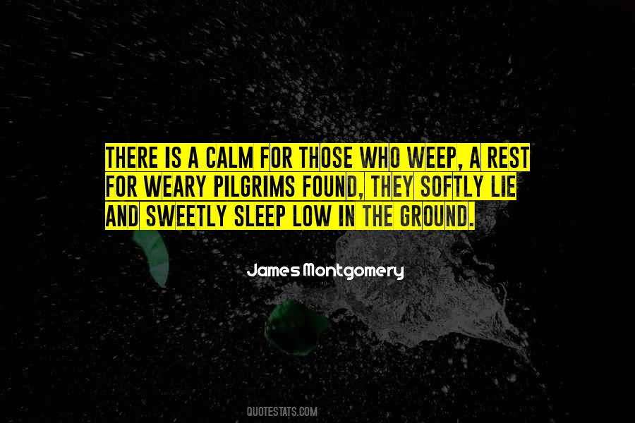 Sleep And Rest Quotes #463551