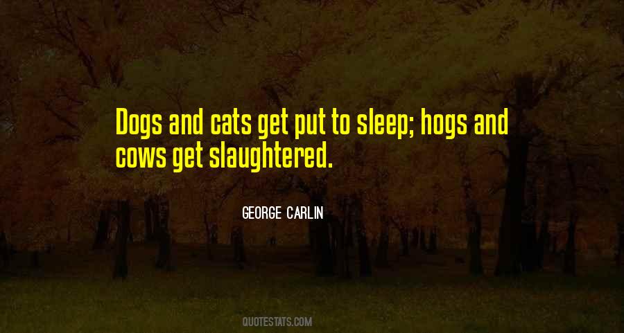 Sleep Cats Quotes #1182964