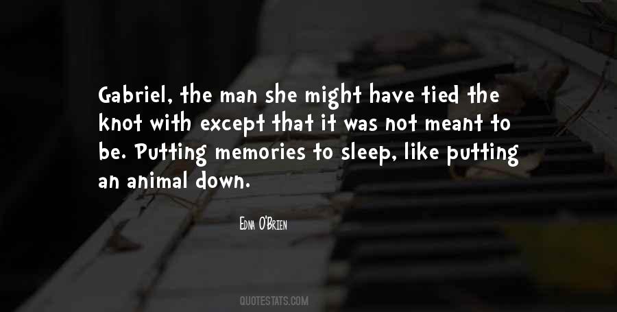 Sleep Like Quotes #191189