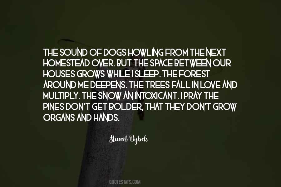 Sleep Love Quotes #307893