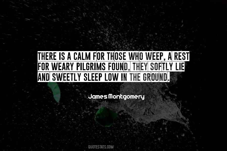 Sleep Sweetly Quotes #463551