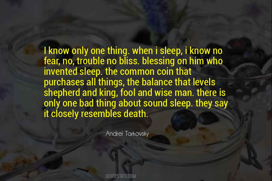 Sleep Trouble Quotes #264249