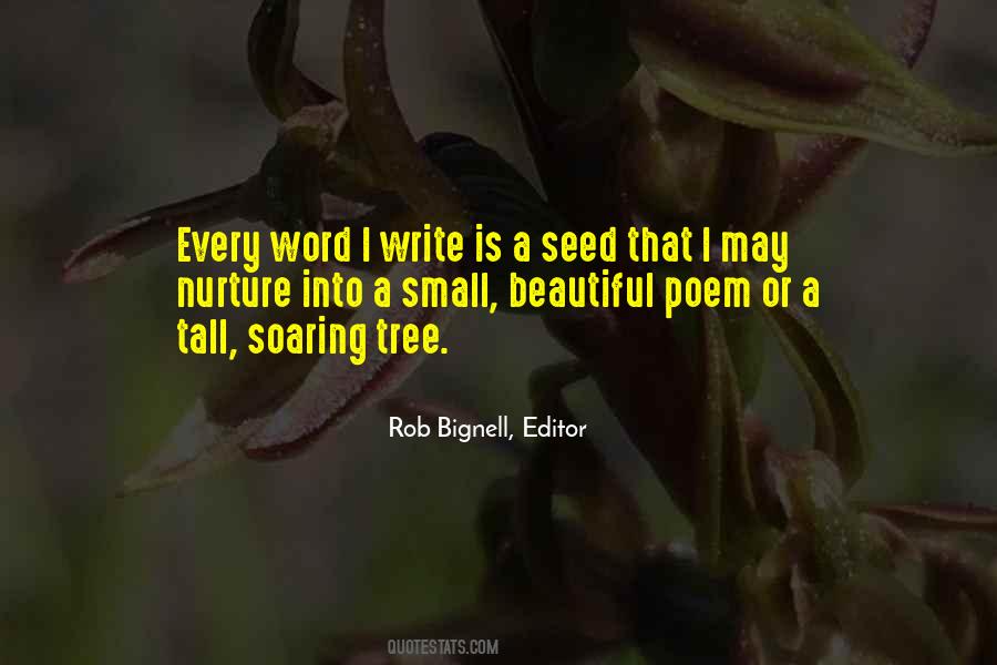 Quotes About Beautiful Writing #135261