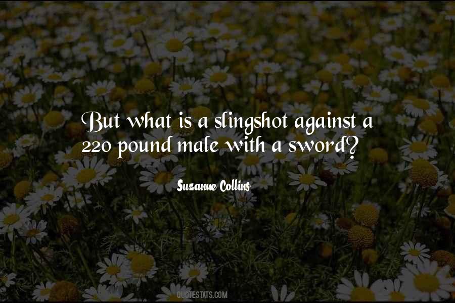 Slingshot Quotes #1830828