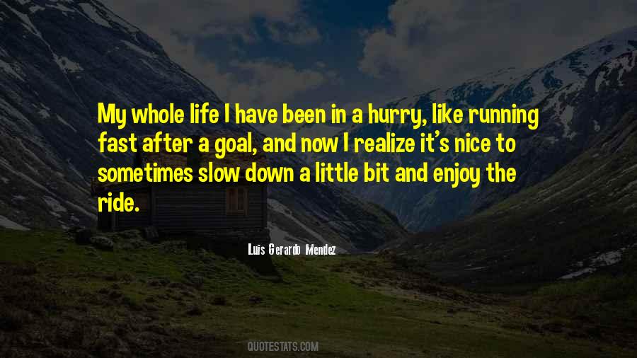 Slow Down And Enjoy The Ride Quotes #1099279