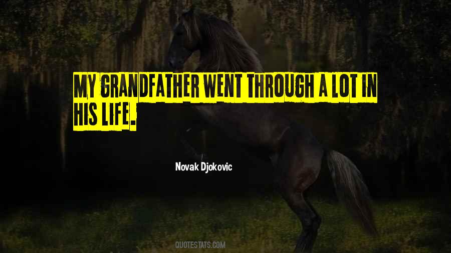 Quotes About Novak Djokovic #1794658