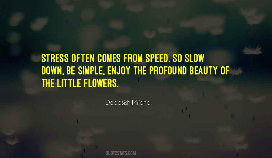 Slow Down To Speed Up Quotes #1694541