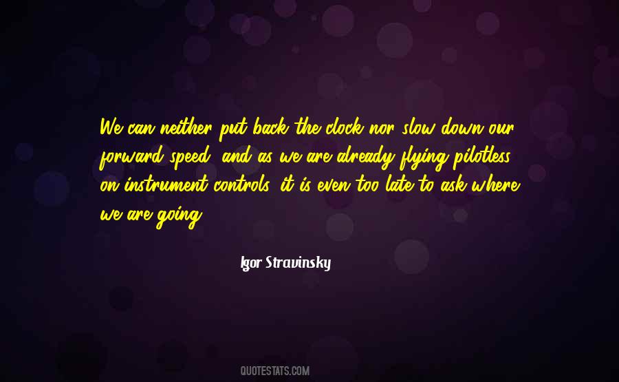 Slow Down To Speed Up Quotes #1716531