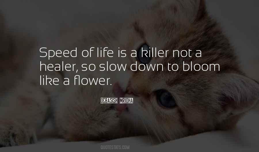Slow Down To Speed Up Quotes #661966