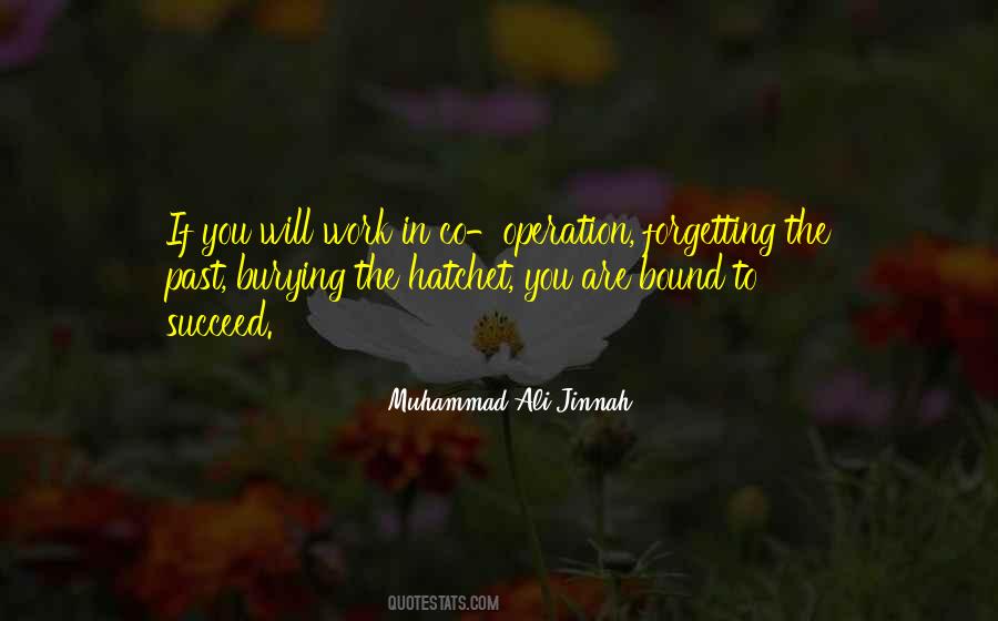Quotes About Muhammad Ali Jinnah #208421