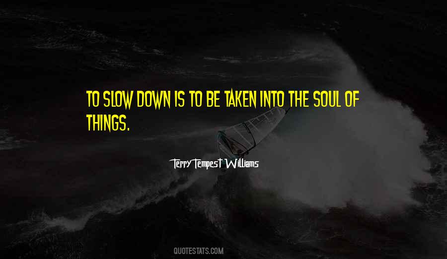 Slow Things Down Quotes #851593
