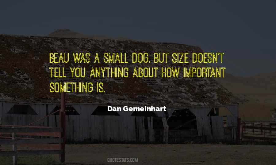 Small But Important Quotes #464919