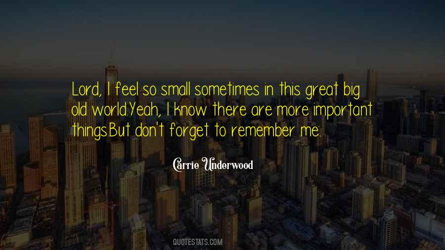 Small But Important Quotes #543293