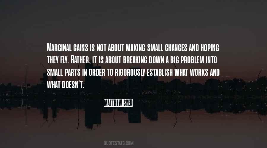 Small Gains Quotes #761387