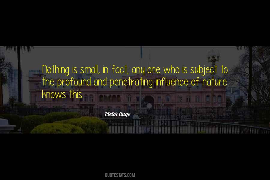 Small In Nature Quotes #1764201